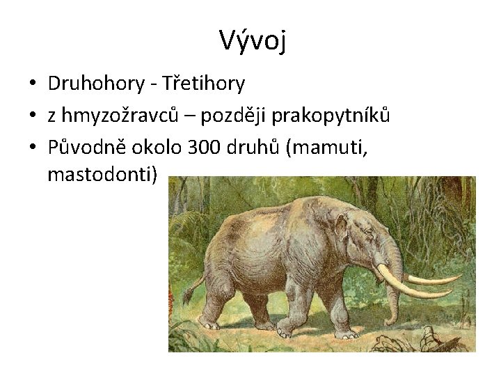 Vývoj • Druhohory - Třetihory • z hmyzožravců – později prakopytníků • Původně okolo