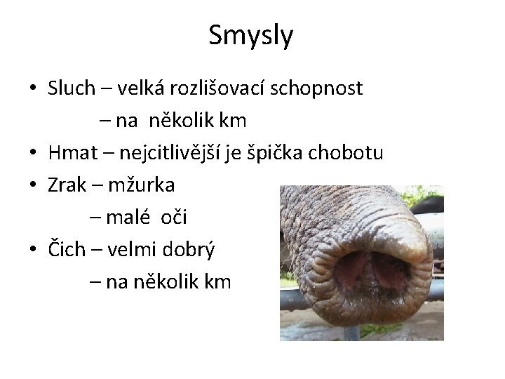 Smysly • Sluch – velká rozlišovací schopnost – na několik km • Hmat –