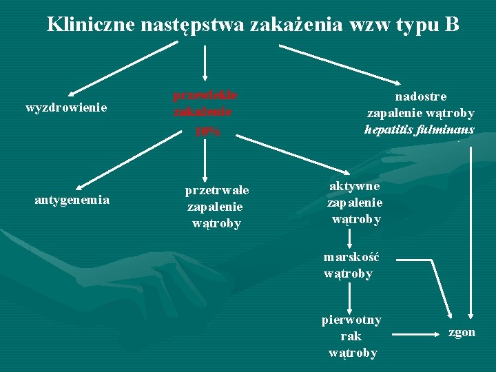 Kliniczne następstwa zakażenia wzw typu B wyzdrowienie antygenemia przewlekłe zakażenie 10% przetrwałe zapalenie wątroby