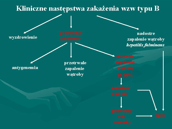 Kliniczne następstwa zakażenia wzw typu B wyzdrowienie antygenemia przewlekłe zakażenie przetrwałe zapalenie wątroby nadostre