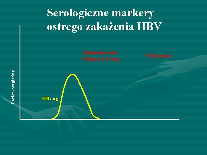 Serologiczne markery ostrego zakażenia HBV Poziom względny Zakażenie ostre Objawy 2 -12 tyg HBs