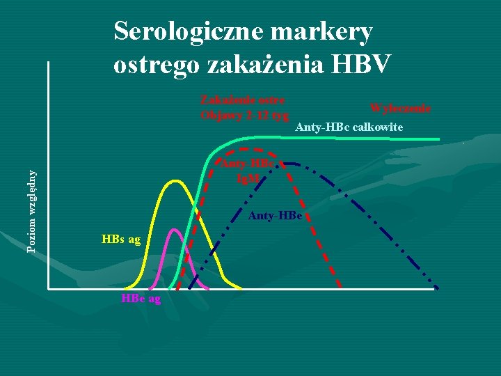 Serologiczne markery ostrego zakażenia HBV Poziom względny Zakażenie ostre Objawy 2 -12 tyg Wyleczenie