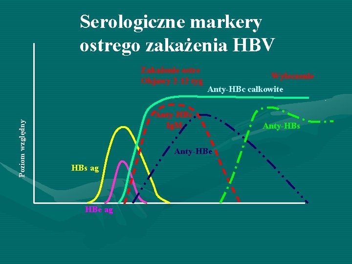 Serologiczne markery ostrego zakażenia HBV Poziom względny Zakażenie ostre Objawy 2 -12 tyg Wyleczenie