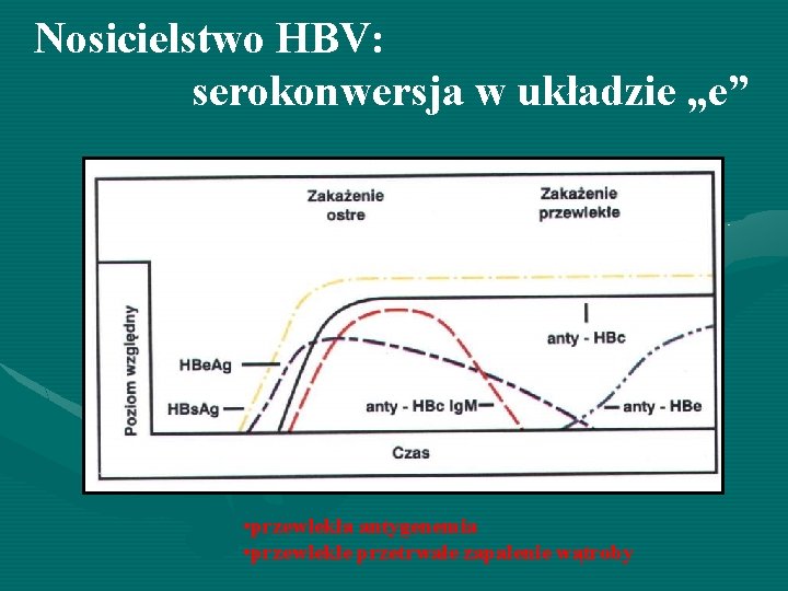 Nosicielstwo HBV: serokonwersja w układzie „e” • przewlekła antygenemia • przewlekłe przetrwałe zapalenie wątroby