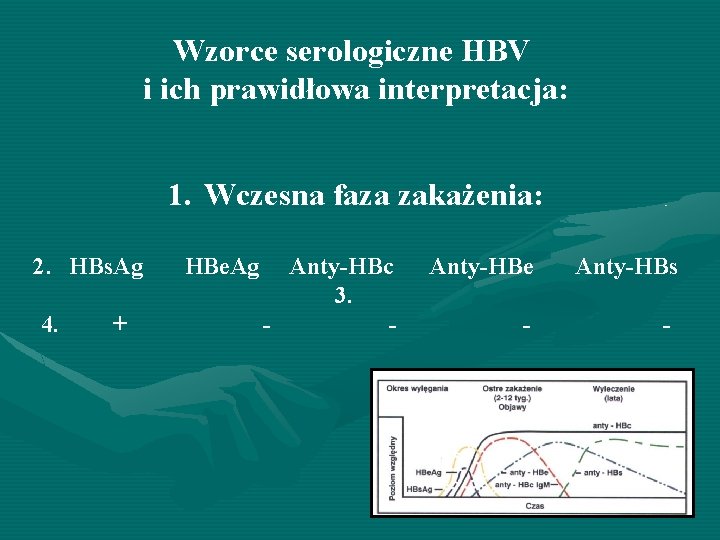 Wzorce serologiczne HBV i ich prawidłowa interpretacja: 1. Wczesna faza zakażenia: 2. HBs. Ag