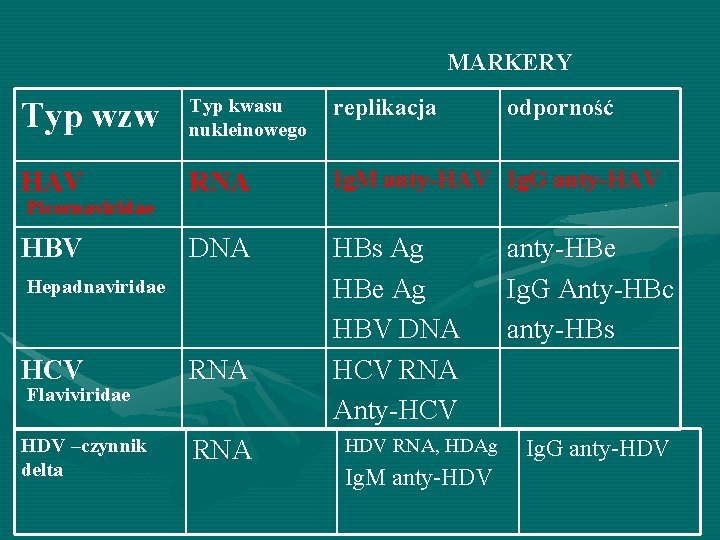 MARKERY Typ wzw Typ kwasu nukleinowego replikacja HAV RNA Ig. M anty-HAV Ig. G