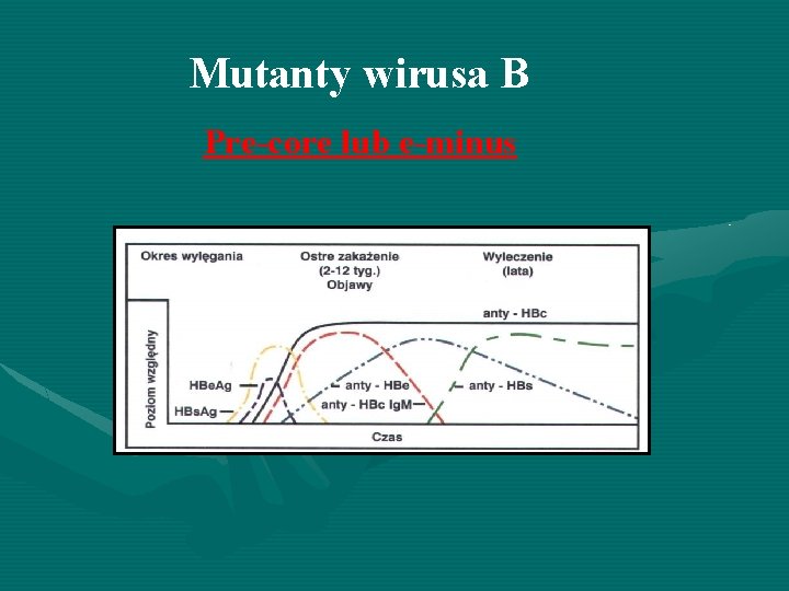 Mutanty wirusa B Pre-core lub e-minus 28 -180 dni 