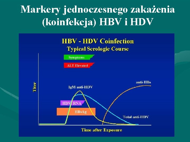 Markery jednoczesnego zakażenia (koinfekcja) HBV i HDV 