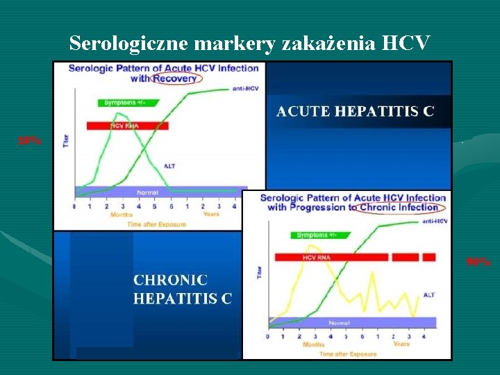 Serologiczne markery zakażenia HCV 10% 90% 