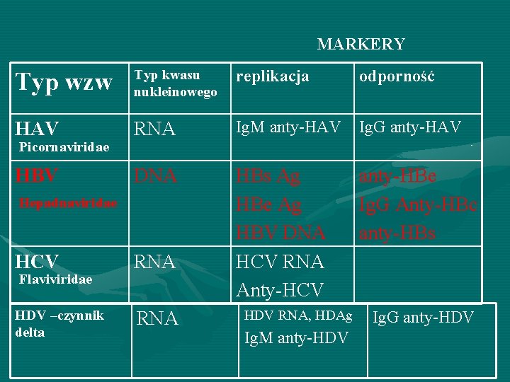 MARKERY Typ wzw Typ kwasu nukleinowego replikacja odporność HAV RNA Ig. M anty-HAV Ig.