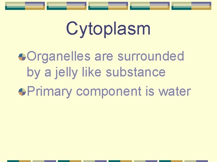 Cytoplasm Organelles are surrounded by a jelly like substance Primary component is water 