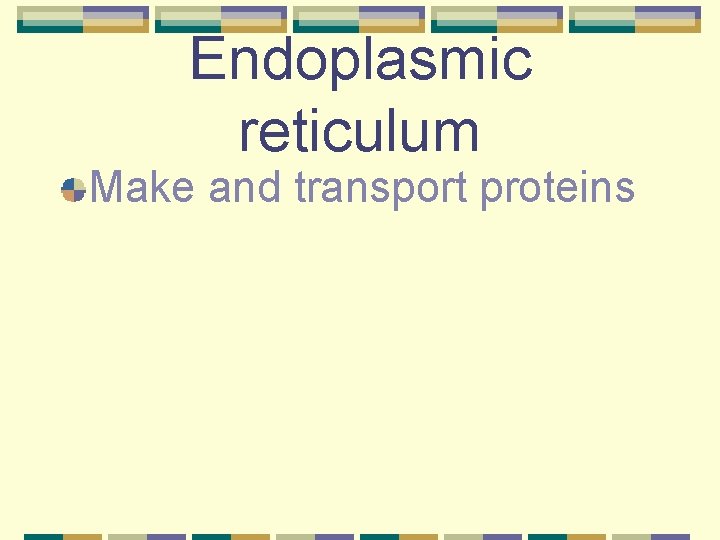 Endoplasmic reticulum Make and transport proteins 