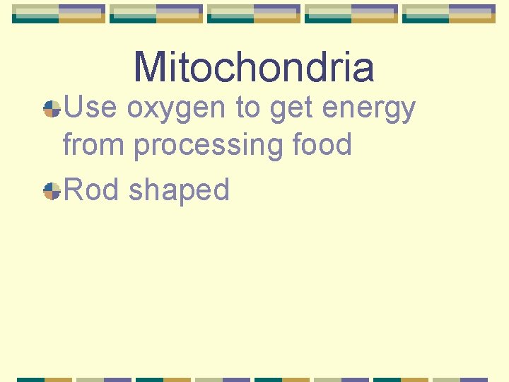 Mitochondria Use oxygen to get energy from processing food Rod shaped 