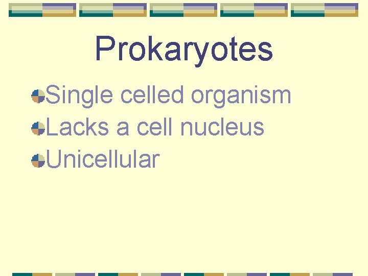 Prokaryotes Single celled organism Lacks a cell nucleus Unicellular 