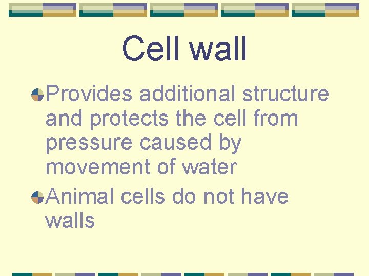 Cell wall Provides additional structure and protects the cell from pressure caused by movement