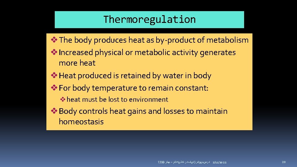 Thermoregulation v The body produces heat as by-product of metabolism v Increased physical or