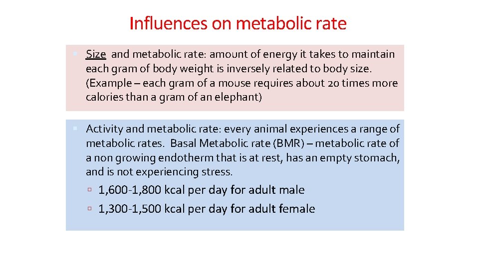 Influences on metabolic rate Size and metabolic rate: amount of energy it takes to