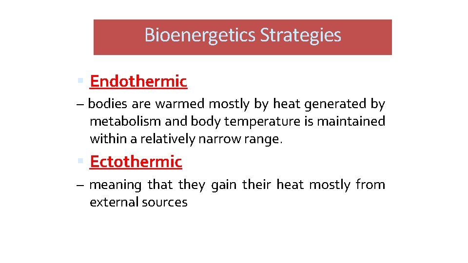 Bioenergetics Strategies Endothermic – bodies are warmed mostly by heat generated by metabolism and