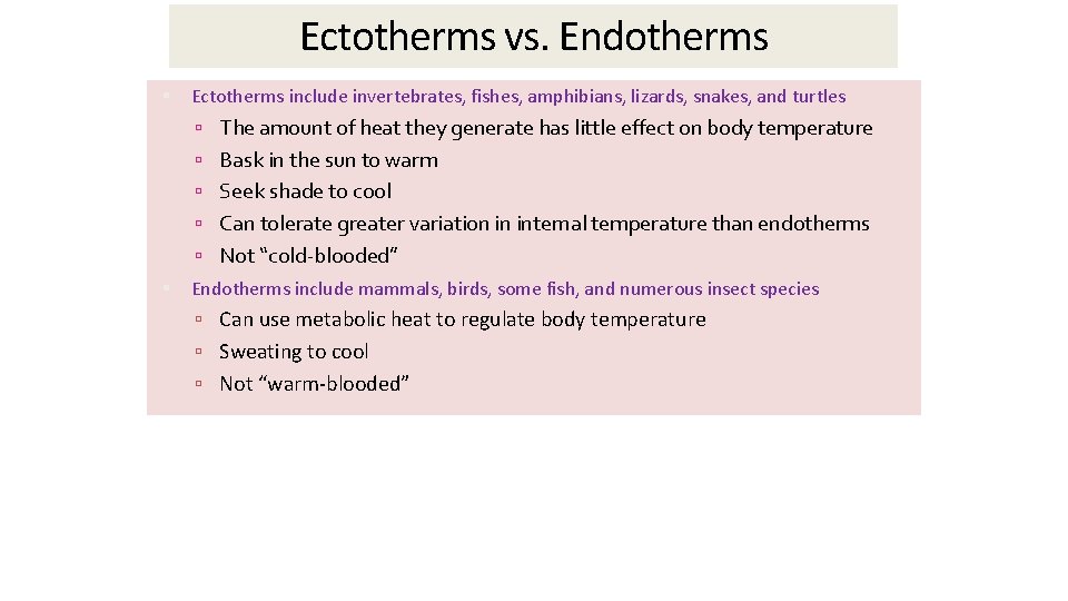 Ectotherms vs. Endotherms Ectotherms include invertebrates, fishes, amphibians, lizards, snakes, and turtles The amount