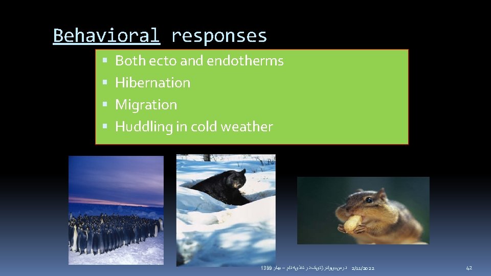 Behavioral responses Both ecto and endotherms Hibernation Migration Huddling in cold weather 1399 ﺑﻬﺎﺭ