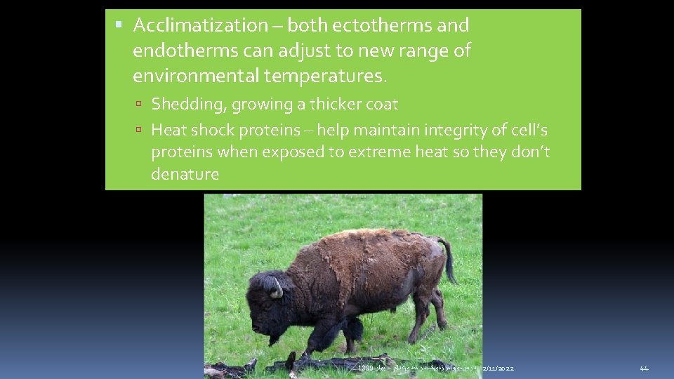  Acclimatization – both ectotherms and endotherms can adjust to new range of environmental