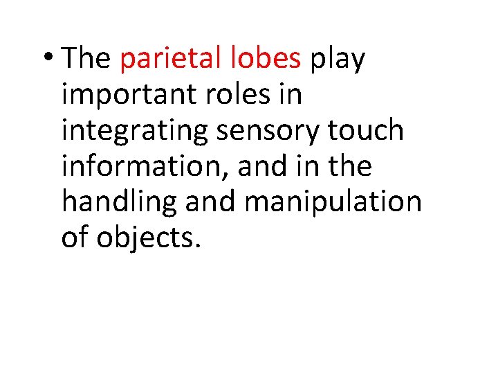  • The parietal lobes play important roles in integrating sensory touch information, and