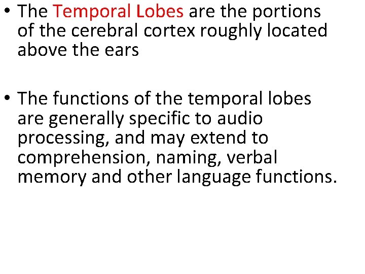  • The Temporal Lobes are the portions of the cerebral cortex roughly located