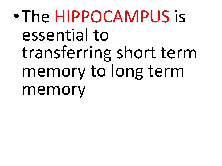  • The HIPPOCAMPUS is essential to transferring short term memory to long term