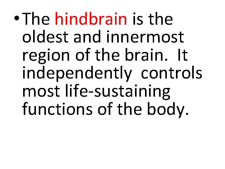  • The hindbrain is the oldest and innermost region of the brain. It