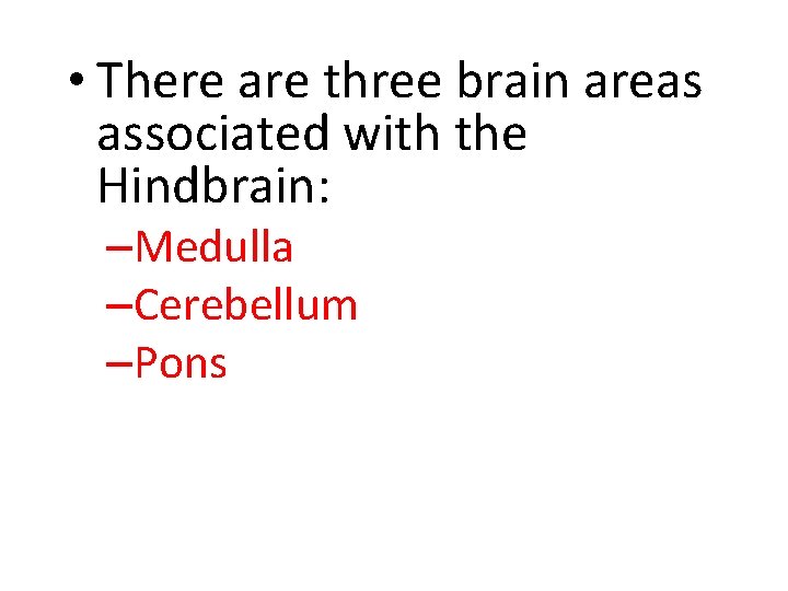  • There are three brain areas associated with the Hindbrain: –Medulla –Cerebellum –Pons