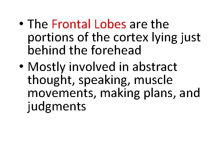  • The Frontal Lobes are the portions of the cortex lying just behind