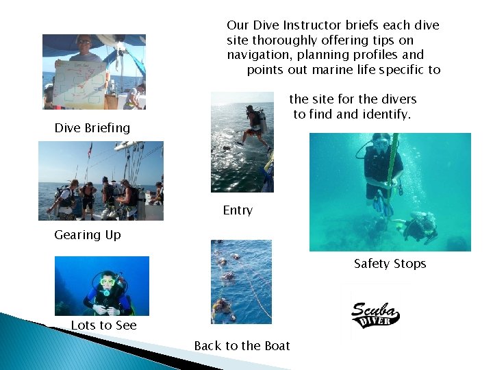 Our Dive Instructor briefs each dive site thoroughly offering tips on navigation, planning profiles