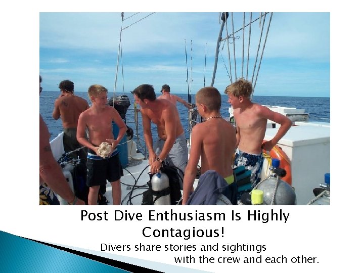 Post Dive Enthusiasm Is Highly Contagious! Divers share stories and sightings with the crew