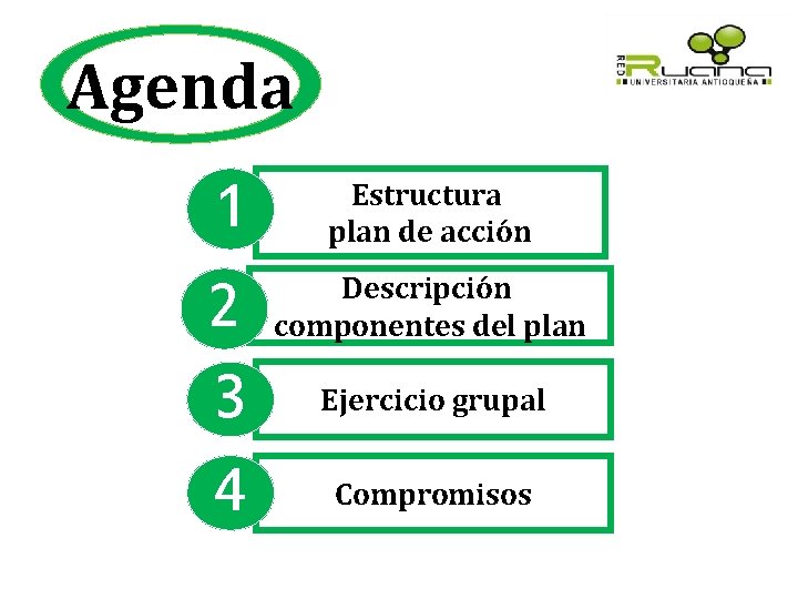 Agenda 1 Estructura plan de acción 2 3 4 Descripción componentes del plan Ejercicio