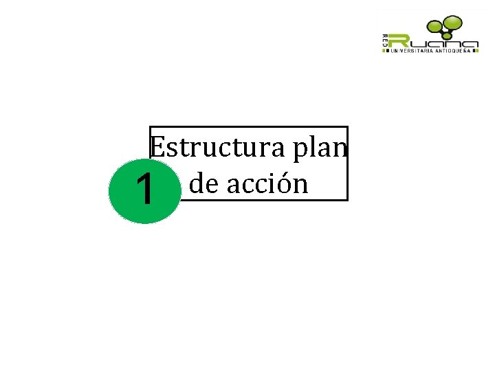 Estructura plan de acción 1 