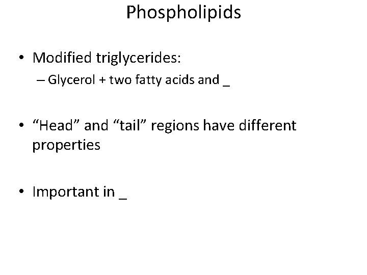 Phospholipids • Modified triglycerides: – Glycerol + two fatty acids and _ • “Head”