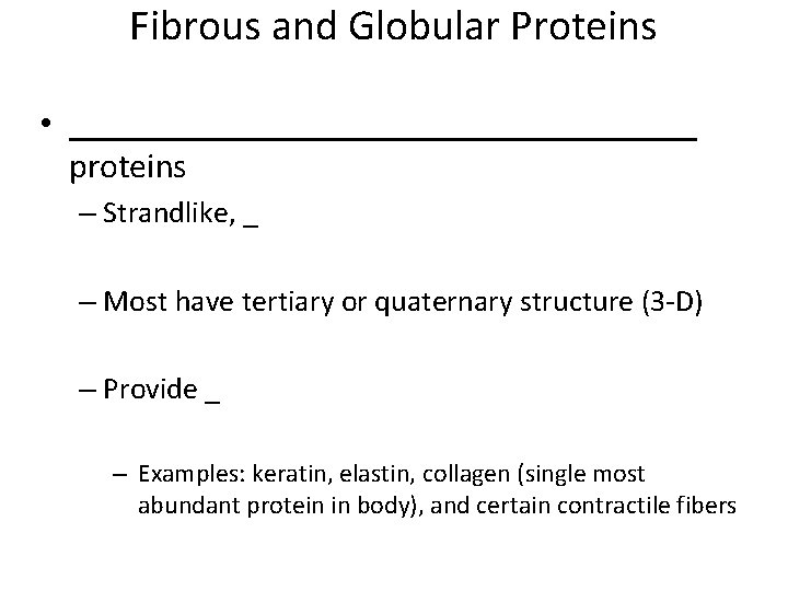 Fibrous and Globular Proteins • __________________ proteins – Strandlike, _ – Most have tertiary