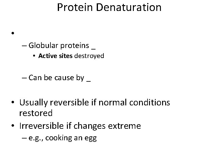Protein Denaturation • – Globular proteins _ • Active sites destroyed – Can be