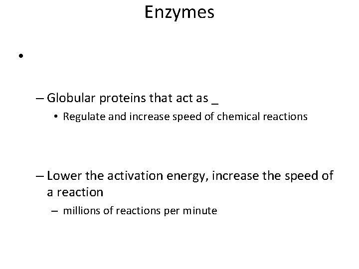Enzymes • – Globular proteins that act as _ • Regulate and increase speed