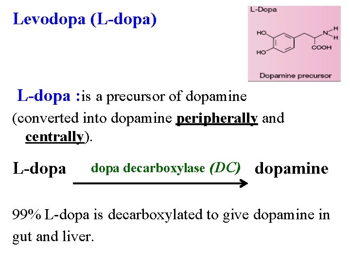 Levodopa (L-dopa) L-dopa : is a precursor of dopamine (converted into dopamine peripherally and