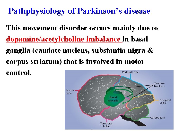 Pathphysiology of Parkinson’s disease This movement disorder occurs mainly due to dopamine/acetylcholine imbalance in