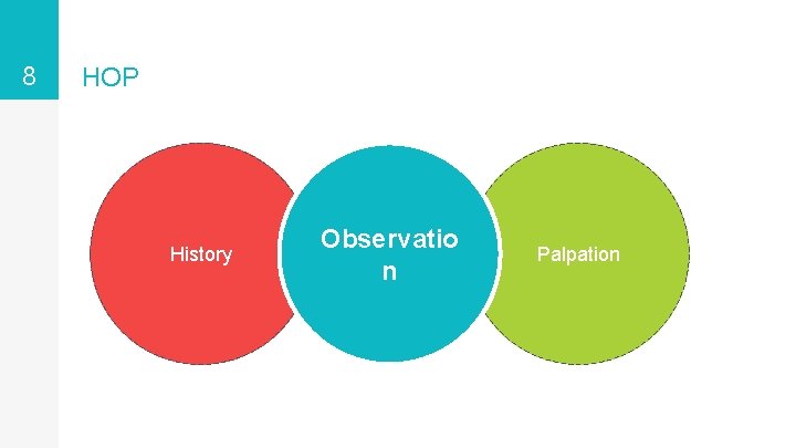 8 HOP History Observatio n Palpation 