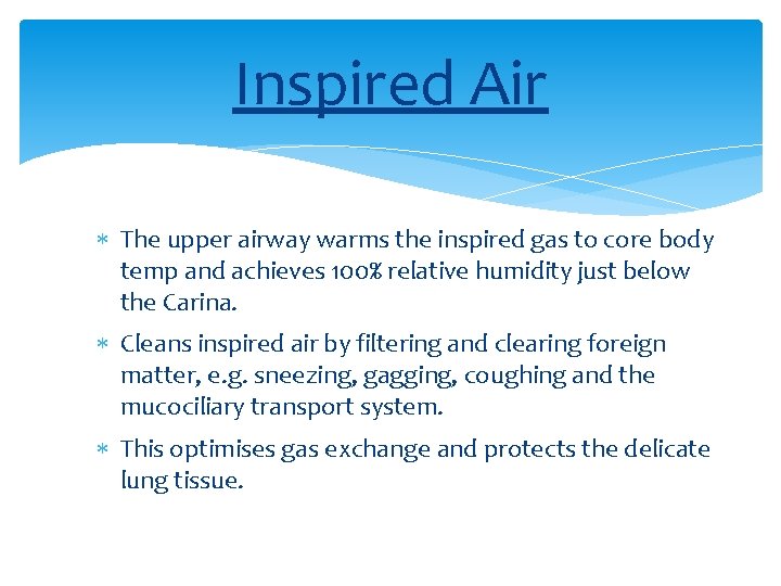 Inspired Air The upper airway warms the inspired gas to core body temp and