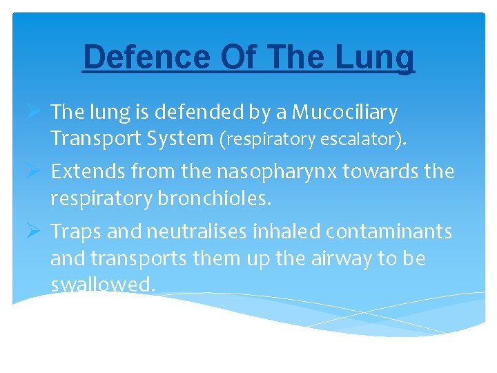 Defence Of The Lung Ø The lung is defended by a Mucociliary Transport System