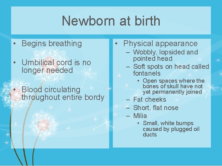 Newborn at birth • Begins breathing • Umbilical cord is no longer needed •