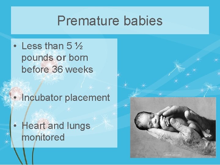 Premature babies • Less than 5 ½ pounds or born before 36 weeks •