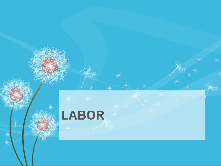 LABOR 