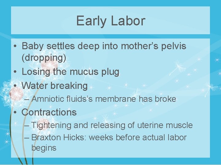 Early Labor • Baby settles deep into mother’s pelvis (dropping) • Losing the mucus