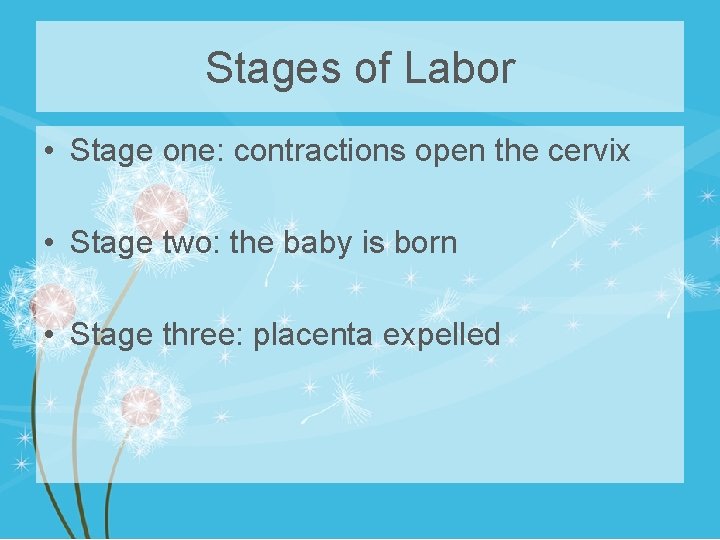 Stages of Labor • Stage one: contractions open the cervix • Stage two: the