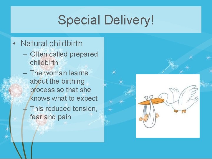 Special Delivery! • Natural childbirth – Often called prepared childbirth – The woman learns